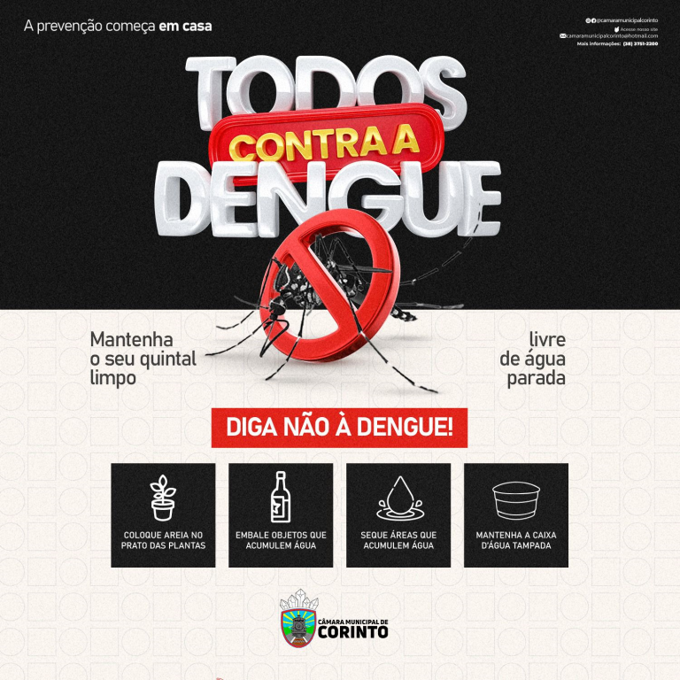 Dengue: Diga Não! A prevenção começa em casa!